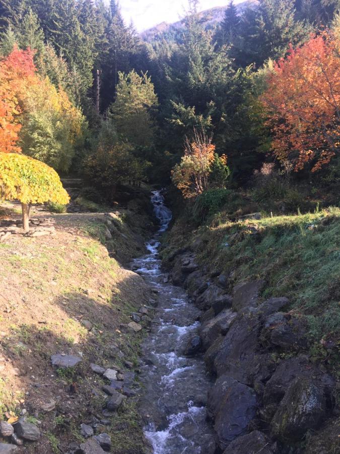 Mountain Creek Vacation Hotel Queenstown Ngoại thất bức ảnh